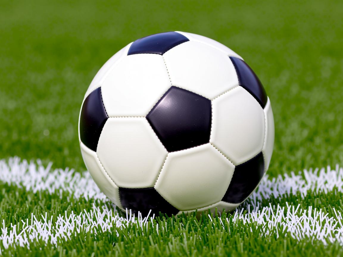 平博体育官网-中超联赛中国队迎战 球员心态保持积极,中超新人 第2张